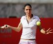 Anastasia Myskina în timpul carierei
