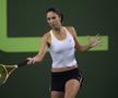 Anastasia Myskina în timpul carierei