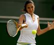 Anastasia Myskina în timpul carierei