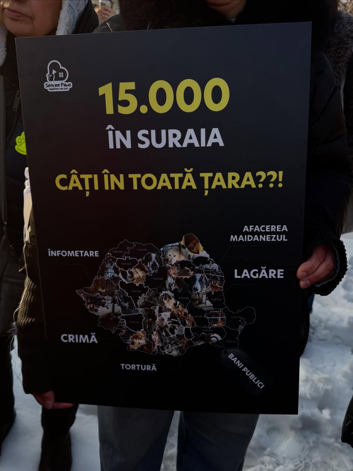 Teodora Stoica și Ionuț Lupescu, printre persoanele ieșite în stradă la manifestația din fața Parlamentului: „M-am întors acasă cu o greutate în piept”