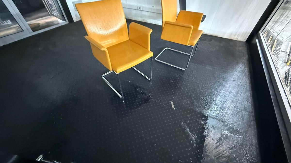 Soluție de avarie incredibilă la Arena Națională, la primul meci al lui Rădoi!
