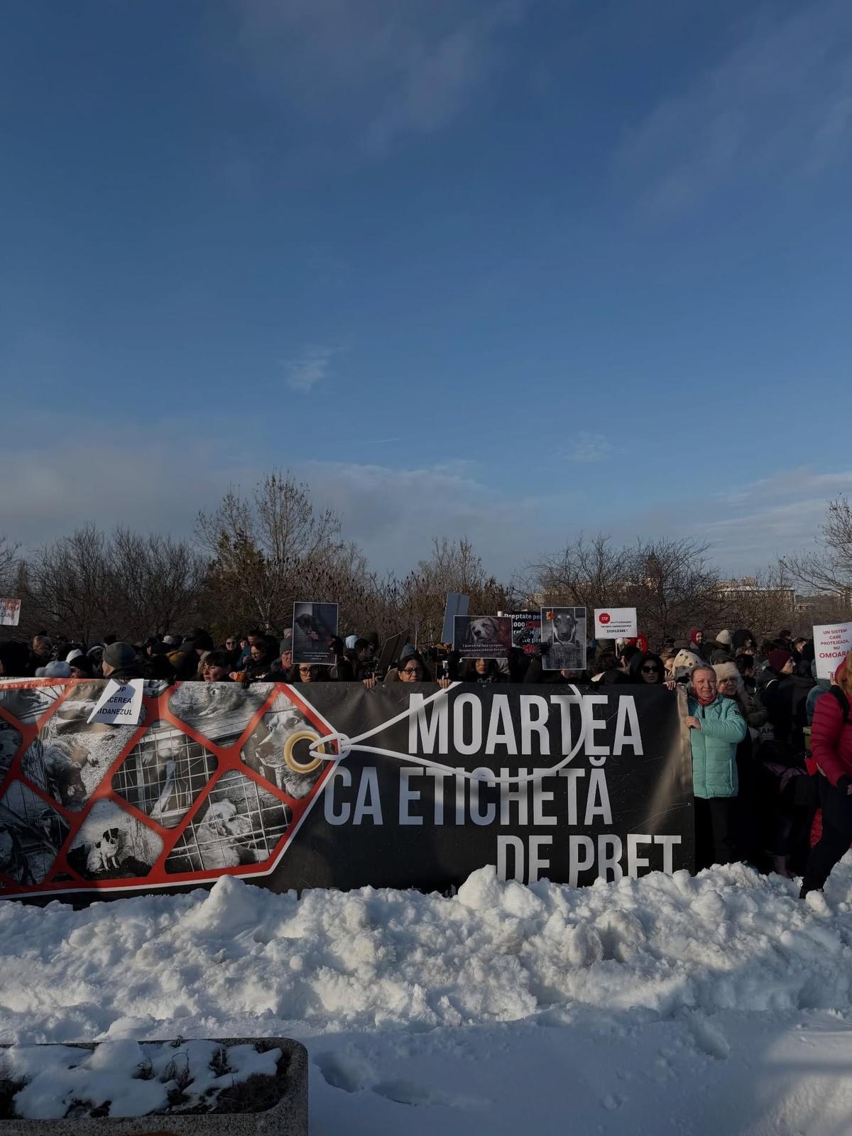 Teodora Stoica și Ionuț Lupescu, printre persoanele ieșite în stradă la manifestația din fața Parlamentului: „M-am întors acasă cu o greutate în piept”