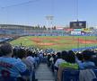 Tokyo baseball