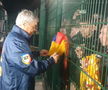 Imagini în oglindă la 14 ani distanță » Același gard, alt selecționer: Mircea Lucescu le-a făcut pe plac fanilor, care au primit cadouri