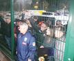 Imagini în oglindă la 14 ani distanță » Același gard, alt selecționer: Mircea Lucescu le-a făcut pe plac fanilor, care au primit cadouri