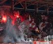 Fanii echipei Rapid au făcut spectacol la meciul cu FCSB (foto: Raed Krishan/GSP)