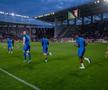 Mititelu jr., mesaj tăios la pauza meciului Rapid - FCSB: „Distrugerea fotbalului românesc prin manevrarea arbitrajului”