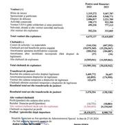 Bilanțul financiar înregistrat de Dinamo în 2023