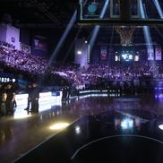 Fanii lui PAOK, omagiu pentru suporterii care și-au pierdut viața în România / foto: paokbc.gr