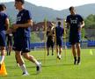 Dominik Kovacic, FCU Craiova 1948
