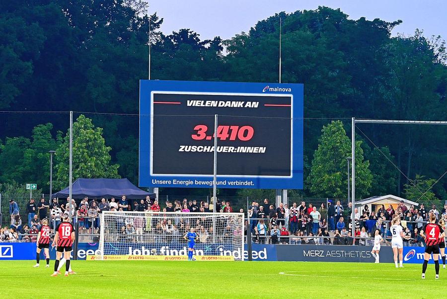 Schimbare de ultimă oră înainte de Slovacia - România: probleme cu gazonul de pe arena din Frankfurt