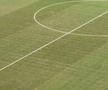 Gazonul din Ghencea la meciul FCSB - Auda / FOTO: GSP.ro