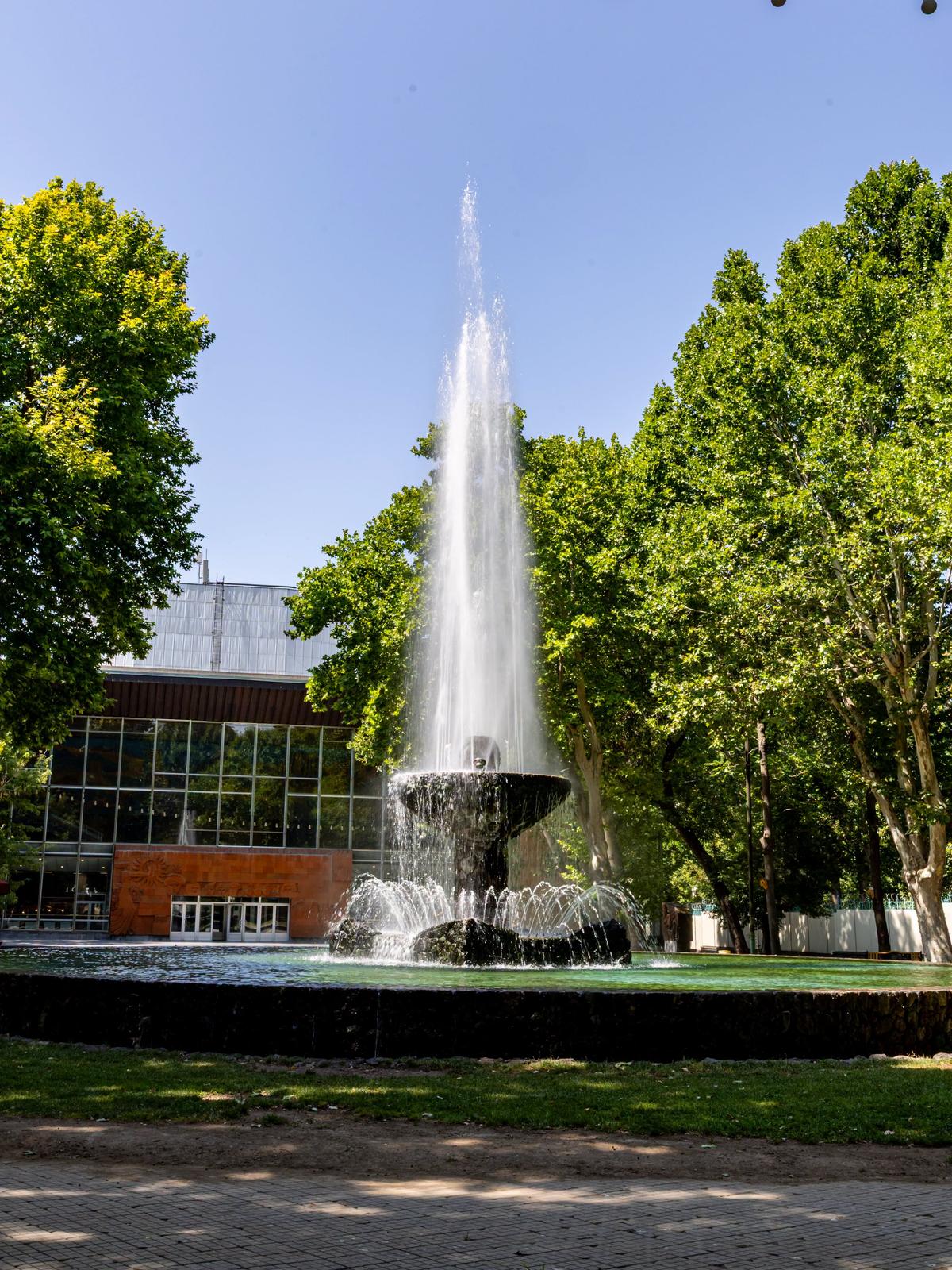 Suporterii lui CFR Cluj, pe străzile din Erevan