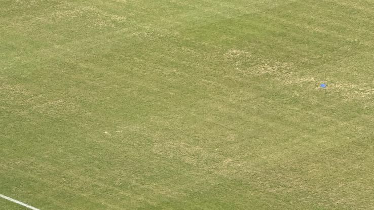 Gazonul din Ghencea la meciul FCSB - Auda / FOTO: GSP.ro