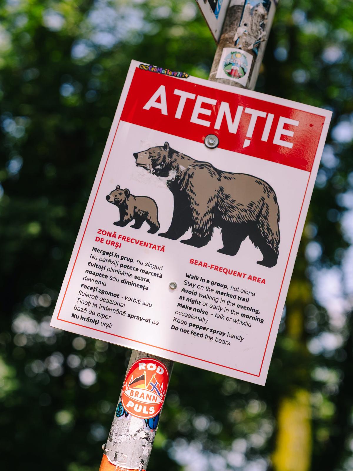 Norvegienii de la Brann, surprinși de ce au găsit în România