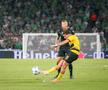 Maccabi - Young Boys / Sursă foto: Facebook@ Young Boys