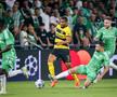 Maccabi - Young Boys / Sursă foto: Facebook@ Young Boys