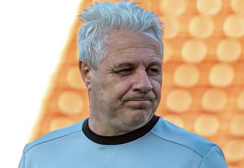 Marius Șumudică