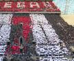 Imagini înainte de Newcastle - Liverpool
