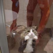 foto: imgur.com