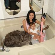 foto: catsmob.com