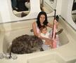 foto: catsmob.com