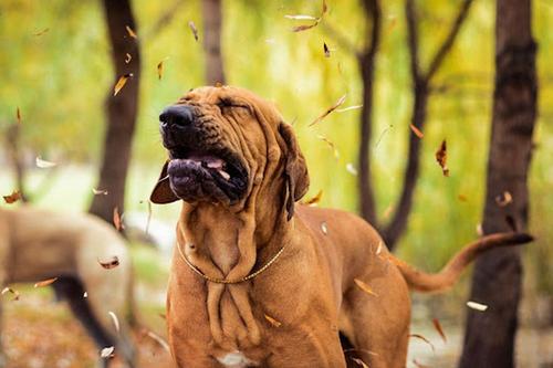 foto: shutterstock.com