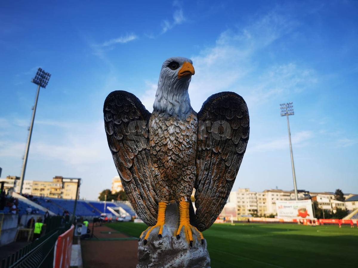 Vulturi pe stadionul din Liga 1. Explicația pentru imaginea atipică