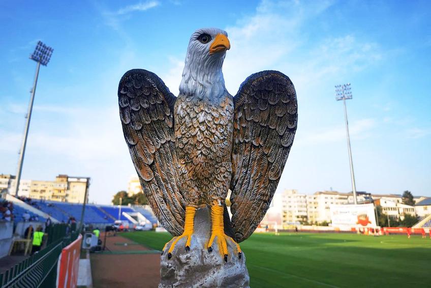 Vulturi pe stadion la Botoșani - UTA // foto: Ionuț Tăbultoc