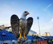 Vulturi pe stadionul din Liga 1. Explicația pentru imaginea atipică