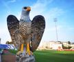 Vulturi pe stadionul din Liga 1. Explicația pentru imaginea atipică