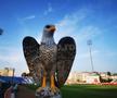 Vulturi pe stadionul din Liga 1. Explicația pentru imaginea atipică