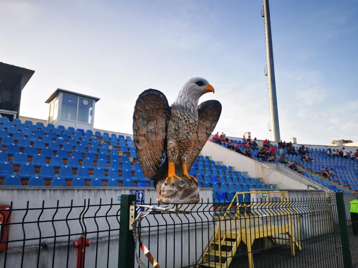 Vulturi pe stadionul din Liga 1. Explicația pentru imaginea atipică