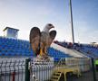 Vulturi pe stadionul din Liga 1. Explicația pentru imaginea atipică