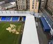 Stadion Wimbledon / FOTO: Imago