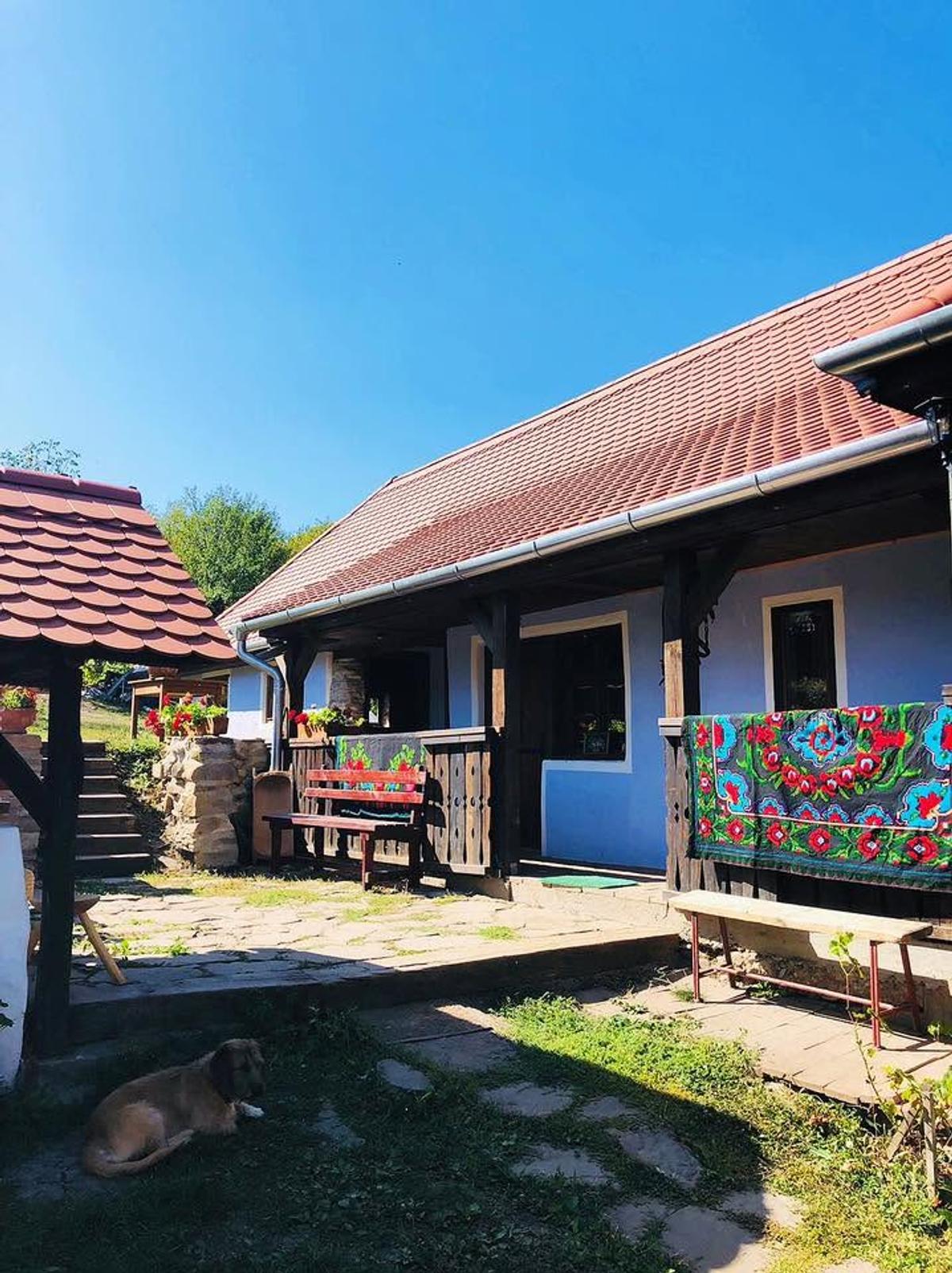 Locul din România care l-a impresionat pe David Popovici în vacanță: „Căutați-l, e extraordinar!”