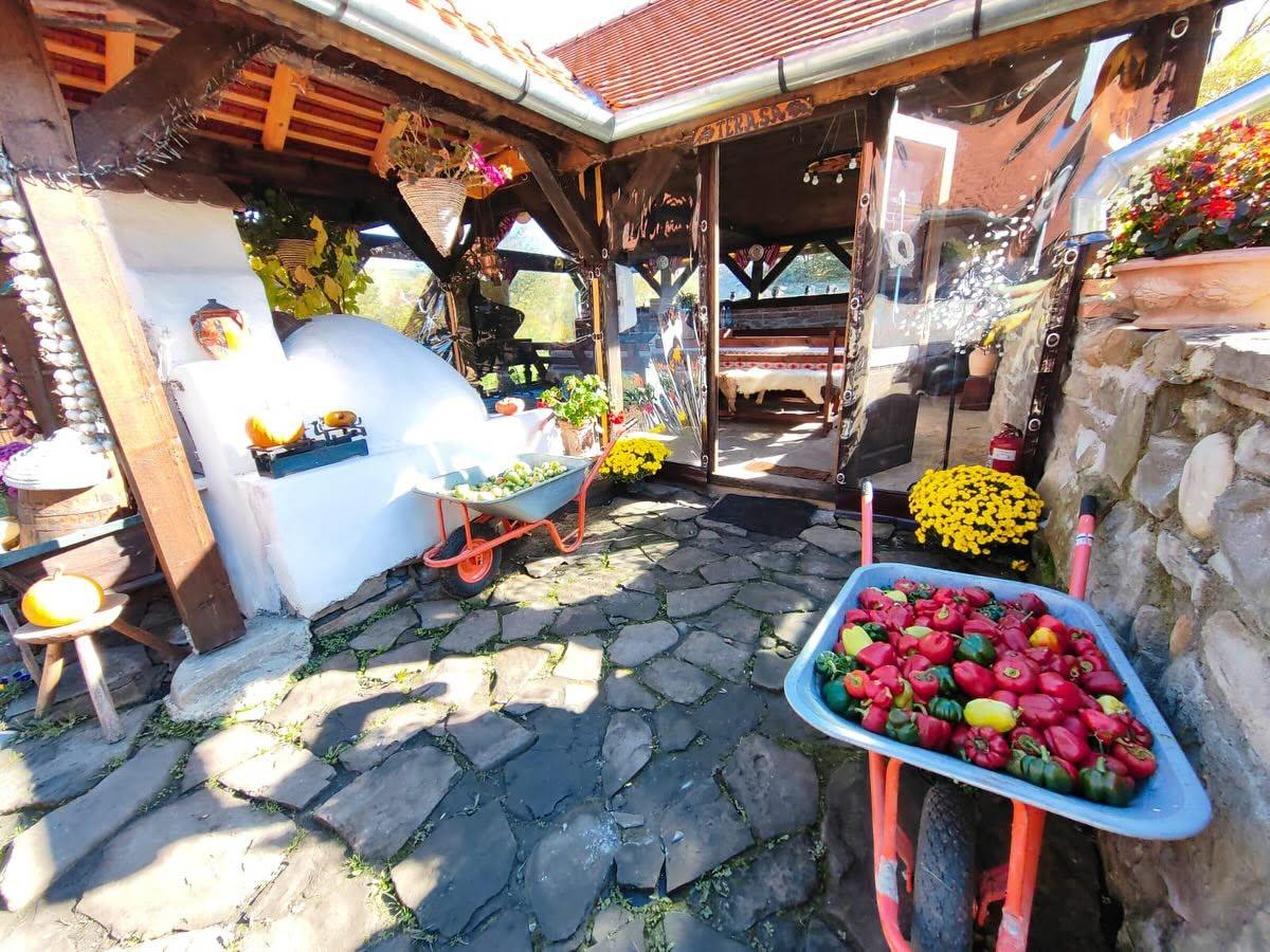 Locul din România care l-a impresionat pe David Popovici în vacanță: „Căutați-l, e extraordinar!”