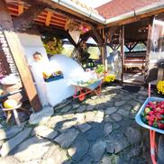 Satul Șapartoc, cel care l-a impresionat pe David Popovici // foto: facebook Sapartoc - Traditional Romanian Village
