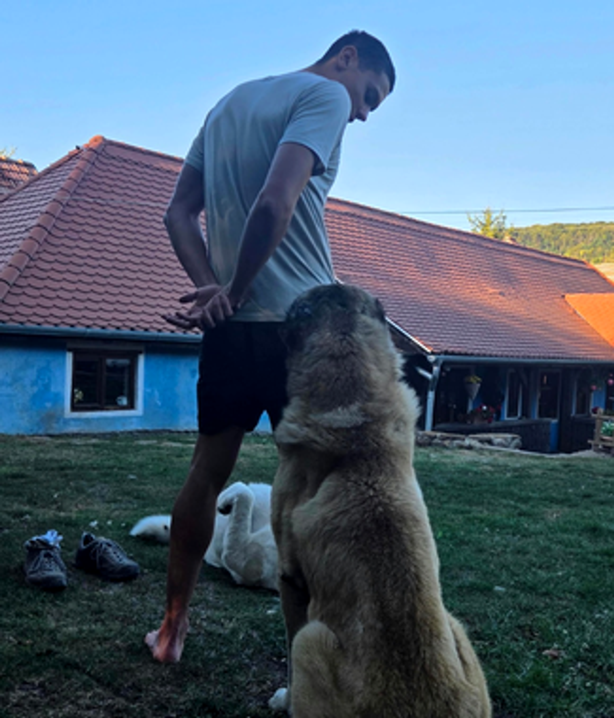 David Popovici impresionat de satul Șapartoc