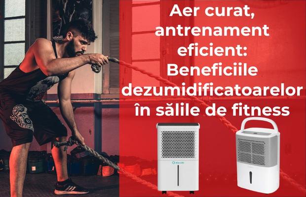 Aer curat, antrenament eficient: beneficiile dezumidificatoarelor în sălile de fitness