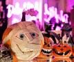 Magazinul scary din Glasgow, afacerea românilor care au inventat ciocoliva