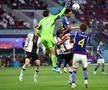Germania - Japonia la Campionatul Mondial