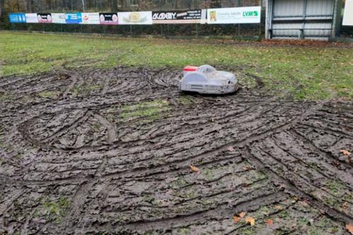 Robotul „buclucaș” de tuns iarba care a distrus gazonul // Foto: ndr.de