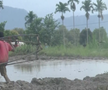 Imagini nebune de la cursa tradițională de tauri din Indonezia: „Deseori e nevoie să îi mușc de coadă”