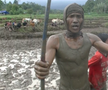 Curse tradiționale de tauri în provincia Sumatra de Vest din Indonezia