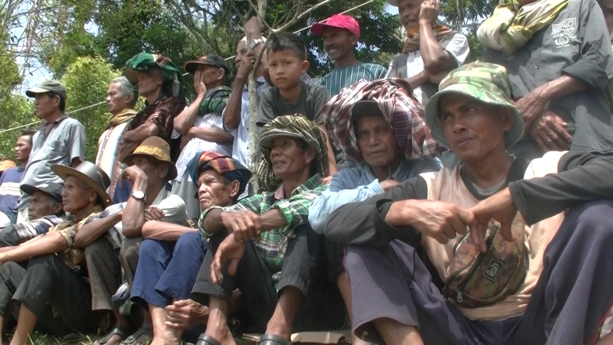 Imagini nebune de la cursa tradițională de tauri din Indonezia: „Deseori e nevoie să îi mușc de coadă”