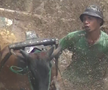Imagini nebune de la cursa tradițională de tauri din Indonezia: „Deseori e nevoie să îi mușc de coadă”