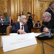 Gigi Becali în parlament / Foto: Dumitru Angelescu (Libertatea)