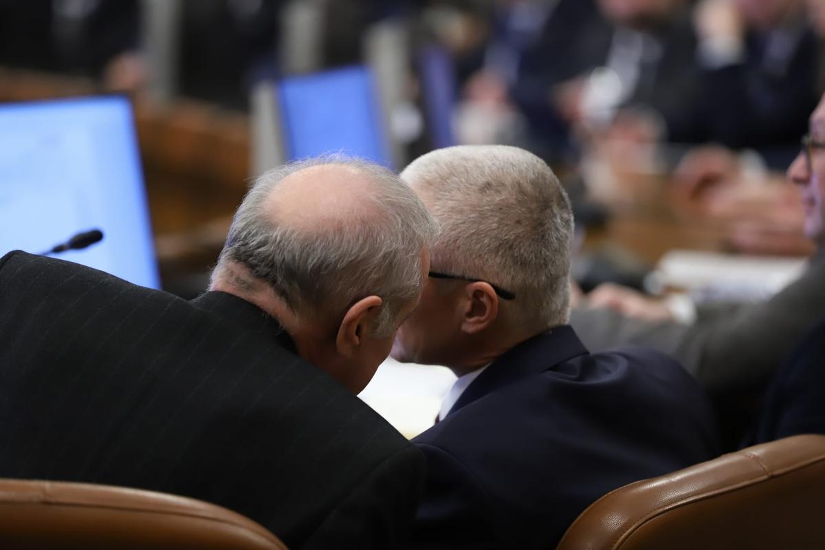 Gigi Becali în parlament