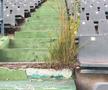 EXCLUSIV // VIDEO Ilie Năstase în lacrimi: „Parcă mi-au tăiat un deget de la picior! Am avut un vis nebun că m-am dus peste Ceaușescu și ăla era mort"